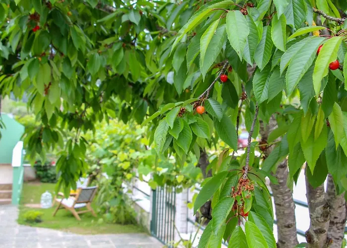 Han Lamprini's Deluxe *